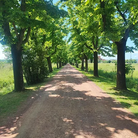 In Aulla * بونتيديرا